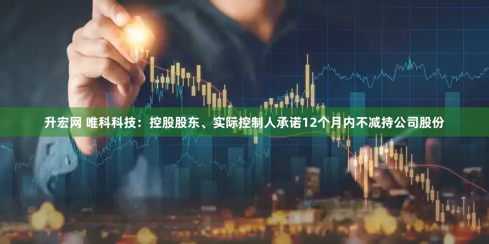 升宏网 唯科科技：控股股东、实际控制人承诺12个月内不减持公司股份
