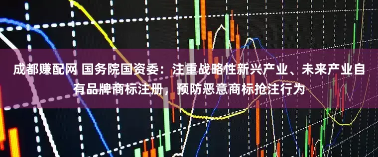 成都赚配网 国务院国资委：注重战略性新兴产业、未来产业自有品牌商标注册，预防恶意商标抢注行为
