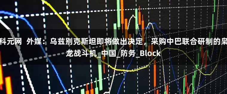科元网  外媒：乌兹别克斯坦即将做出决定，采购中巴联合研制的枭龙战斗机_中国_防务_Block