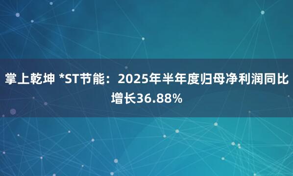 掌上乾坤 *ST节能：2025年半年度归母净利润同比增长36.88%