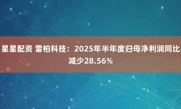 星星配资 雷柏科技：2025年半年度归母净利润同比减少28.56%
