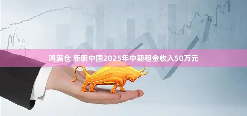 鸿满仓 新明中国2025年中期租金收入50万元