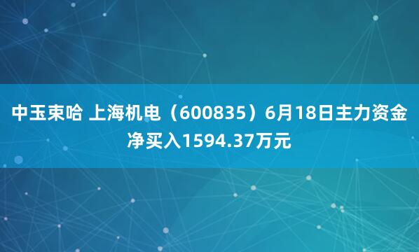 中玉束哈 上海机电（600835）6月18日主力资金净买入1594.37万元